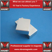block magnet 9